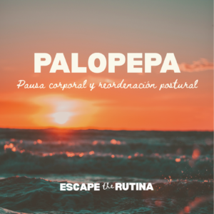 Taller de pelopera- El privilegio de la pausa